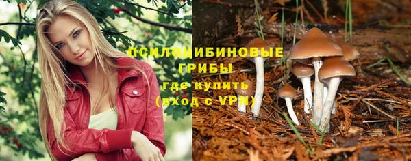 бутират Горняк